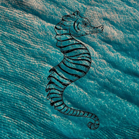 Salty Zebra logo